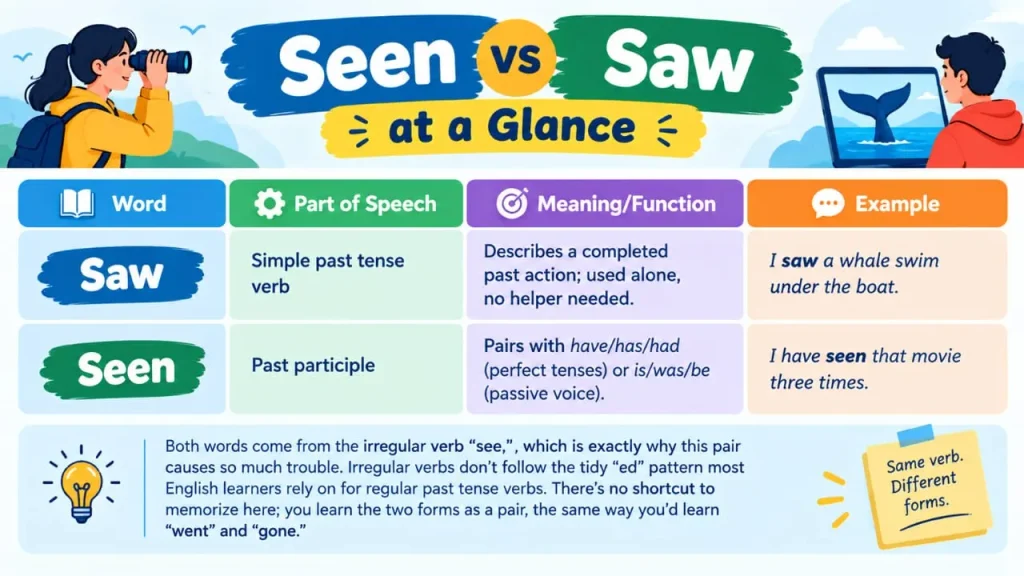 Seen vs Saw