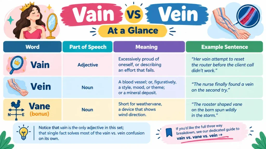 Vain vs Vein